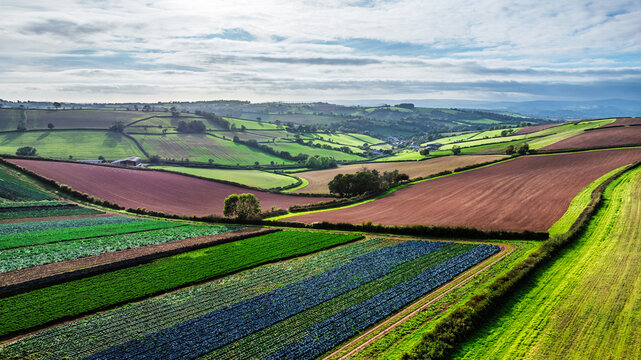 Farms and Fields at evening sun from a drone, Shaldon, Devon, England
