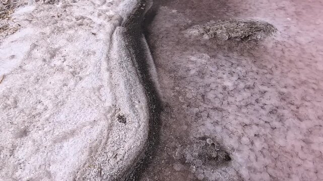 Kuyalnik Estuary, black dust and debris on the surface of the water, self-precipitating table salt on the bottom of a drying estuary