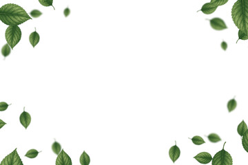 Fototapeta premium Green leaf frame on white background