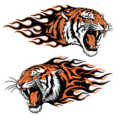 Fiery tiger head graphics roaring with intense power and motion vector