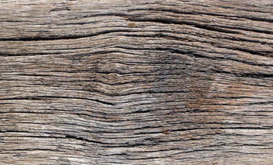 old wooden texture with brown wood plate as a background