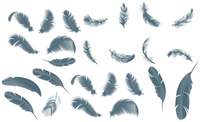 Delicate Feather Silhouettes on Black Background Artistically Arranged for Creative Projects