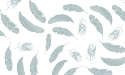 Fototapeta premium Elegant pattern of light blue feathers on a dark black background