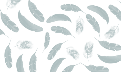 Elegant pattern of light blue feathers on a dark black background