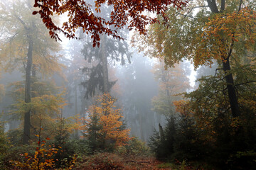 Herbstnebel