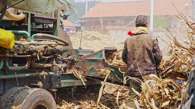 Workers using a machine to crush straw