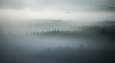 Fototapeta premium Misty Forest Landscape - Serene, Atmospheric, and Tranquil Scenery.
