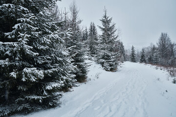 Snowy country road leading through a winter mountain landscape.