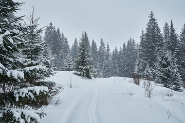 Snowy country road leading through a winter mountain landscape.