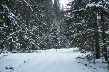 Snowy country road leading through a winter mountain landscape.