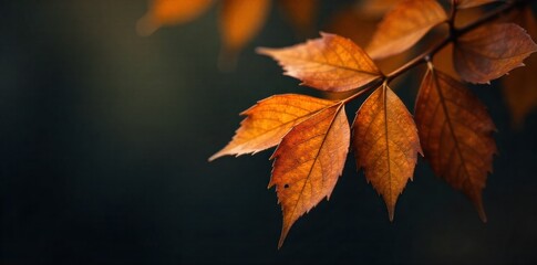 The quiet rustle of dry leaves, depicted as abstract textures and subtle movements. An abstract, macro visualization of the quiet rustle of dry leaves, with soft, layered textures of amber and ochre
