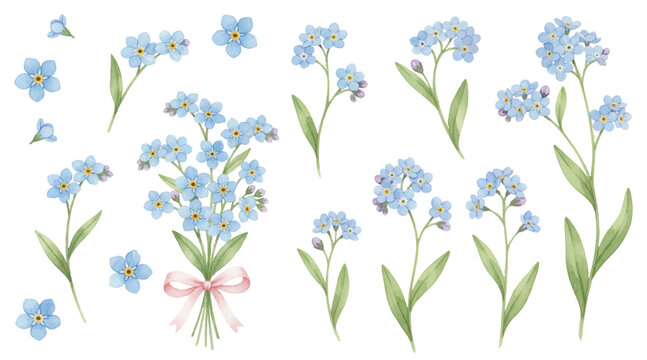 Myosotis blue flowers, forget-me-nots or scorpion grasses frame for text. Forget-me-not myosotis flowers vector collection for holiday card,  Easter design. Memorial symbols. Blue tiny blossom - Powered by Adobe