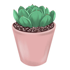 Flower in a pot in pastel colors, hand drawing on a transparent background