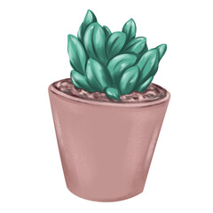 Flower in a pot in pastel colors, hand drawing on a transparent background