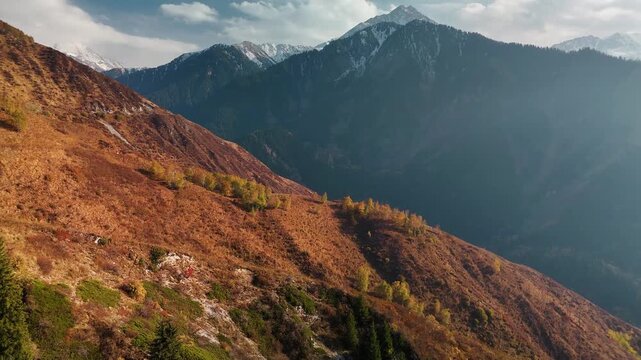 Aerial view panorama of yellow autumn forest in Almaty