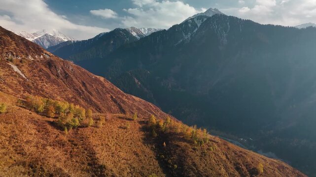Aerial view panorama of yellow autumn forest in Almaty