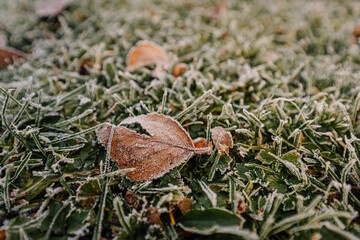 Close-up of frosted autumn leaves and grass on a cold morning. Ice crystals cover the ground, signaling the arrival of winter and the end of fall.