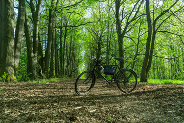 Fototapeta premium Vintage bicycle parked on a forest trail surrounded by trees. Old style bicycle resting on a sunlit woodland path symbolizing outdoor adventure and eco friendly travel.
