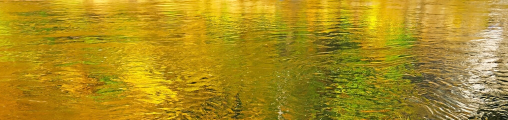 Autumn Color Palette - The shoreline tree's reflection in pond