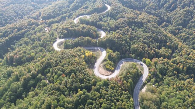 The colors of the tree leaves in the mountains in autumn and the winding, dangerous road. 