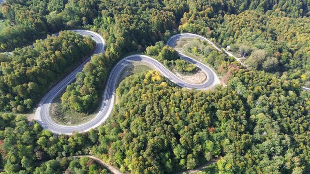 The colors of the tree leaves in the mountains in autumn and the winding, dangerous road. 