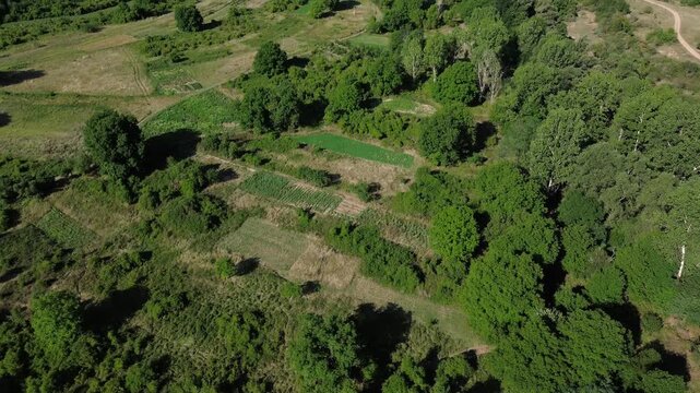 Aerial view of Jerma Canyon in Serbia with a small village surrounded by rocky cliffs and green forest. Horizontal 4k footage