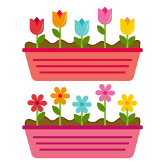 Vases with colorful flowers