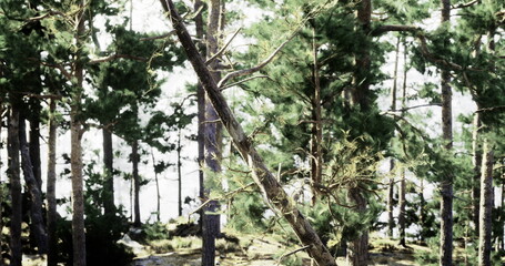 Naklejka premium Sunlight filters through lush green trees in a tranquil forest, revealing a peaceful shoreline in the background. The atmosphere is calming and natural, inviting relaxation.