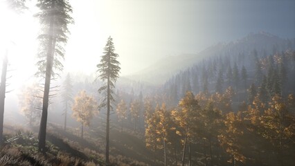 Soft light breaks through a dense layer of mist in an autumn forest. Golden leaves cling to trees as the landscape awakens to the gentle warmth of dawn, creating a serene atmosphere.