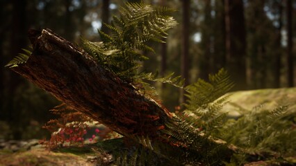 A weathered log adorned with vibrant ferns lies in a serene forest clearing. Sunlight filters through the trees, illuminating the foliage, creating a tranquil autumn atmosphere.
