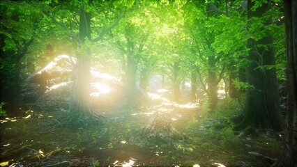 Obraz premium Golden rays of sunlight pierce through dense foliage, illuminating a tranquil forest path. The vibrant green leaves shimmer in the dappled light, promoting a sense of peace and beauty.