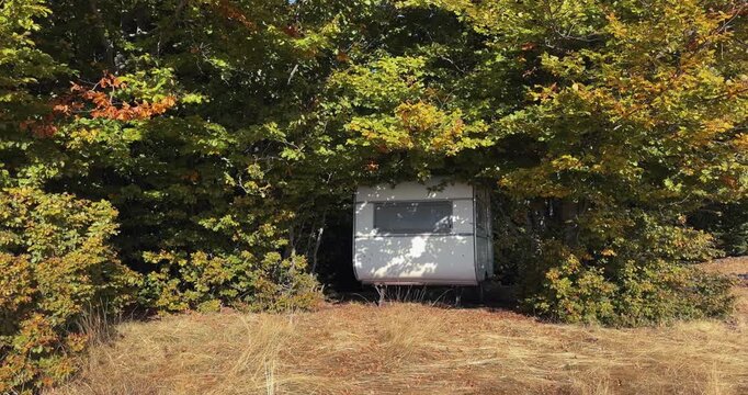 Small camping trailer surrounded by lush green forest
