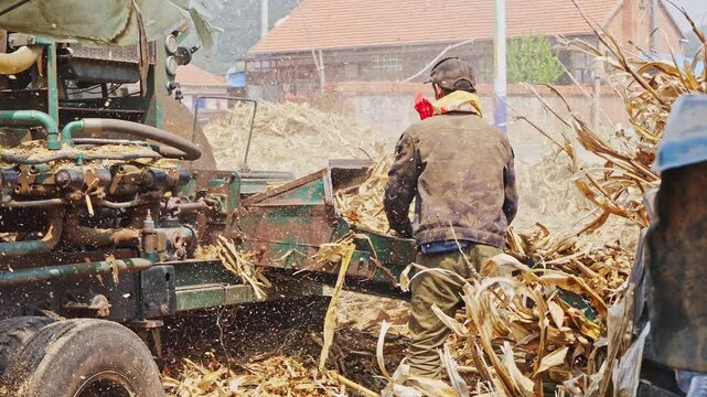 Workers using a machine to crush straw