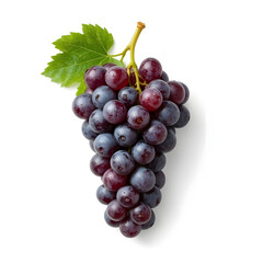 Fototapeta premium A cluster of dark red and blue grapes with a green leaf and stem, isolated on a white background