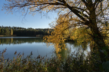 Widok na piękne, spokojne jezioro jesienną porą z kolorowymi drzewami