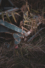 Rusted Wreckage Overgrown by Tall Grass and Reeds in a Moody Abandoned Field.