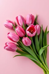 Obraz premium Elegant pink tulip bouquet, symmetrical arrangement on soft pink, perfect for spring, celebration, soft pink background, petal
