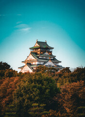 Fototapeta premium Osaka Castle in Autumn, Osaka, Japan