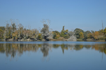 Nature Park Kopacki rit, Croatia