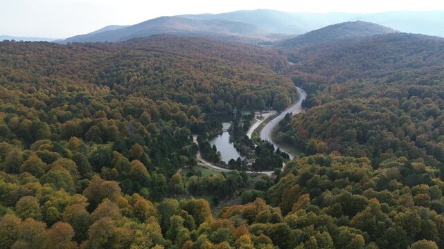 The colors of the tree leaves in the mountains in autumn and the winding, dangerous road. 