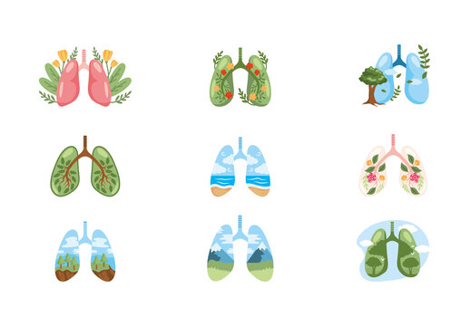 Lungs Nature Illustration Set
