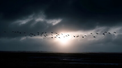 A dramatic flock of birds flies in formation across a cloudy sky illuminated by the sun breaking through the storm
