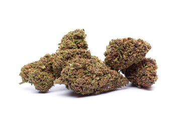 Marijuana flowers isolated on white background