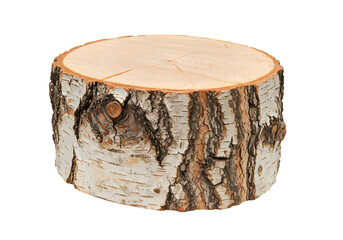 Rustic birch wood slice for natural home decor