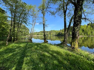 Artificial lake Trakoscan (Zagorje, Croatia) - Die See Trakoscan oder künstlicher Trakoscansee (Kroatien) - Umjetno jezero Trakošćan ili Trakošćansko jezero (Hrvatsko zagorje, Hrvatska)