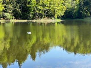 Artificial lake Trakoscan (Zagorje, Croatia) - Die See Trakoscan oder künstlicher Trakoscansee (Kroatien) - Umjetno jezero Trakošćan ili Trakošćansko jezero (Hrvatsko zagorje, Hrvatska)