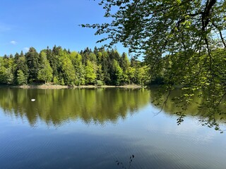 Artificial lake Trakoscan (Zagorje, Croatia) - Die See Trakoscan oder künstlicher Trakoscansee (Kroatien) - Umjetno jezero Trakošćan ili Trakošćansko jezero (Hrvatsko zagorje, Hrvatska)