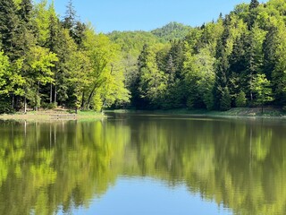 Artificial lake Trakoscan (Zagorje, Croatia) - Die See Trakoscan oder künstlicher Trakoscansee (Kroatien) - Umjetno jezero Trakošćan ili Trakošćansko jezero (Hrvatsko zagorje, Hrvatska)