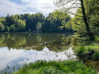 Artificial lake Trakoscan (Zagorje, Croatia) - Die See Trakoscan oder künstlicher Trakoscansee (Kroatien) - Umjetno jezero Trakošćan ili Trakošćansko jezero (Hrvatsko zagorje, Hrvatska)