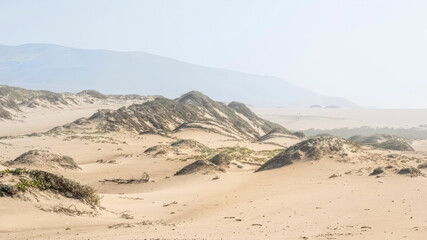 California Coastal Dune